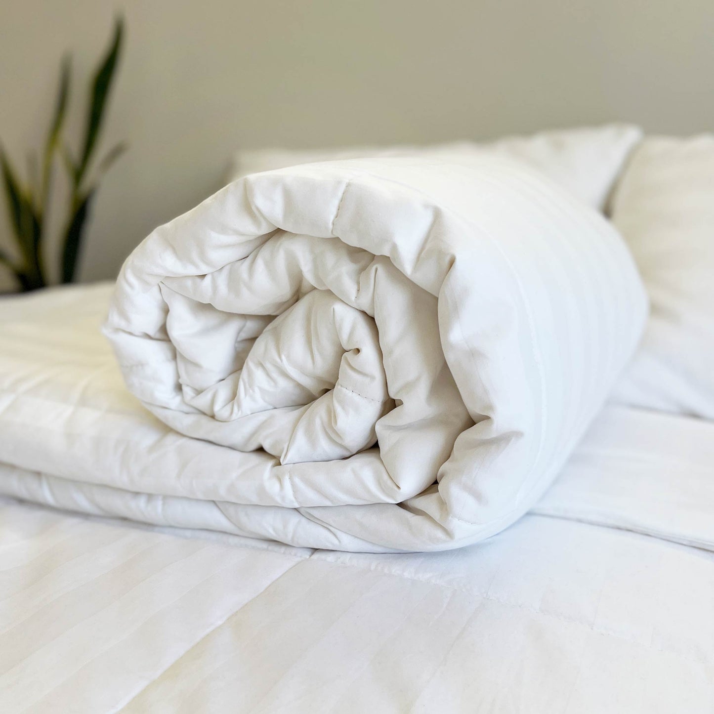 Mulberry Silk 100% Long Strand Silk Filled Duvets - All Seasons 650gsm